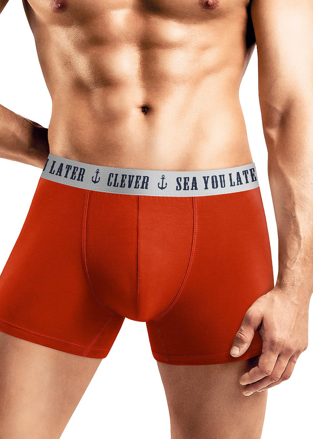 Трусы муж. Clever