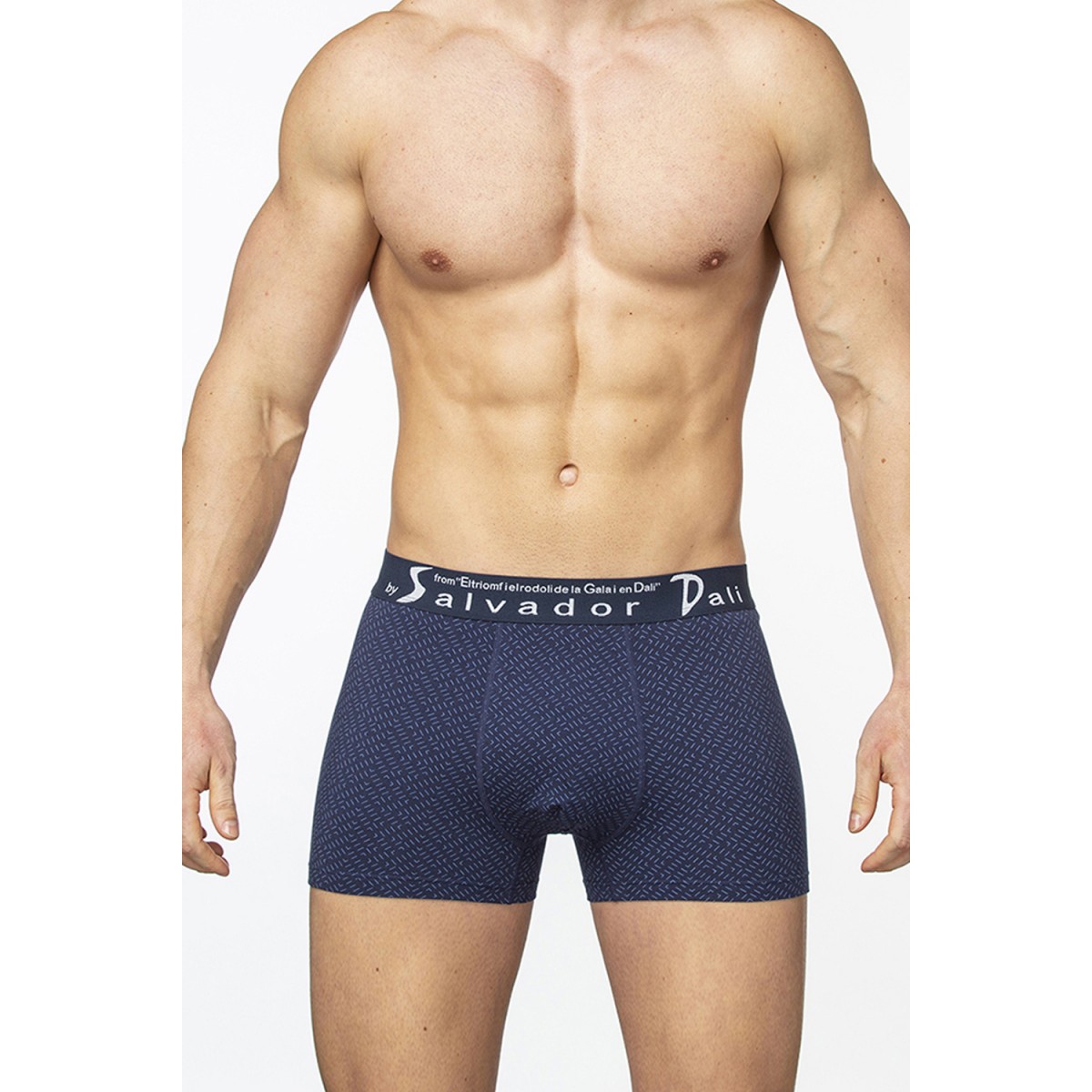 Трусы муж. Salvador Dali (M, Синий)