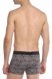 Трусы муж. Salvador Dali (L, Серый)