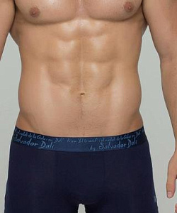 Трусы муж. Salvador Dali (M, Т.Синий)