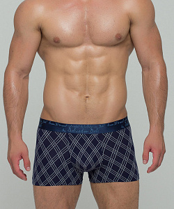 Трусы муж. Salvador Dali (L, Синий)