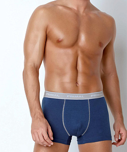 Трусы Primal (L, В расцветках)