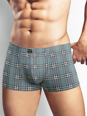 Трусы муж. Clever