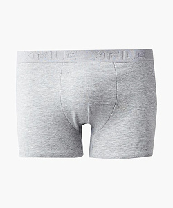 Трусы муж. X-File (L, Серый меланж)