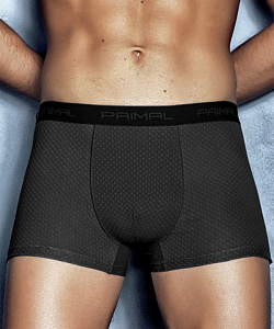 Трусы Primal (L, Т.Серый)