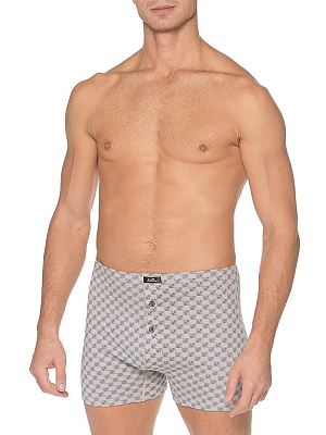 Боксеры Zet Day