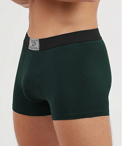 Трусы муж. Salvador Dali (L, Зеленый)