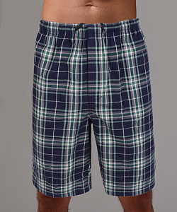 Шорты муж. Gentlemen (L, Сине-Зеленый)