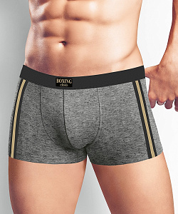 Трусы муж. Clever (3 XL, Серый меланж)