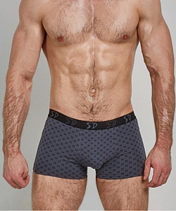 Трусы Salvador Dali (M, Серый)