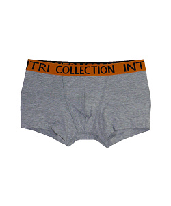 Трусы муж. Intri (XL, Св.серый меланж)