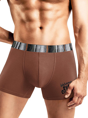 Трусы муж. Clever