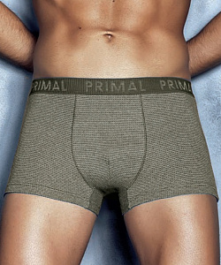 Трусы Primal (L, Серо-Зеленый)