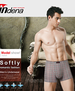 Трусы Indena (L, В расцветках)