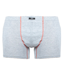 Шорты  Zet Day (XL, Серый)