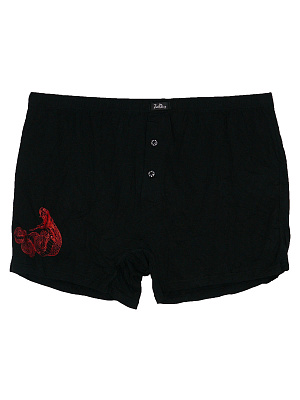 Боксеры Zet Day