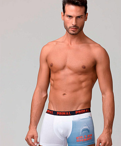 Трусы Primal (S, В расцветках)