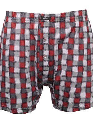 Боксеры Zet Day