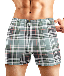 Трусы муж. Clever (M, Св.Серый/Зеленый)