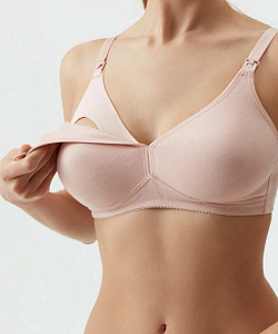 Бюст Conte (80, B, Камея)