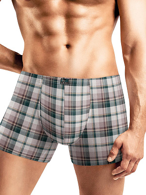 Трусы муж. Clever