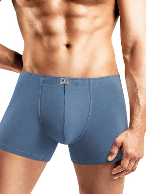 Трусы муж. Clever