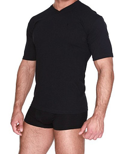 Футболка муж. Torro (L/100 рост 170/176, Черный)