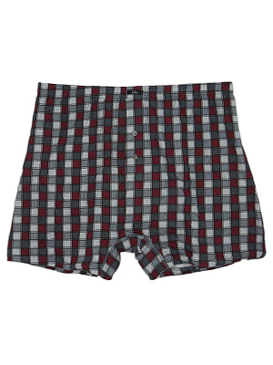 Боксеры Zet Day