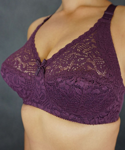 Бюст Новое Время (95, D, Сливовое вино)