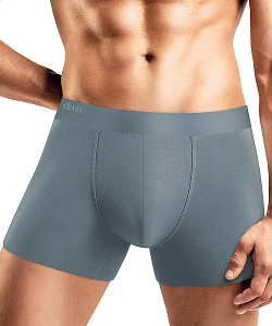 Трусы муж. Clever (3 XL, Св.Серый)