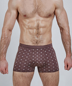 Трусы Salvador Dali (XL, Коричневый)