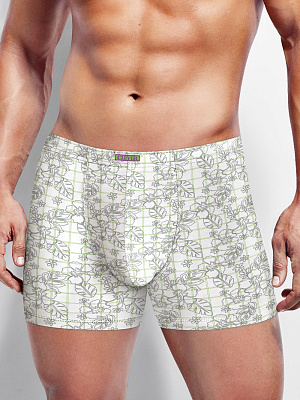 Трусы муж. Clever