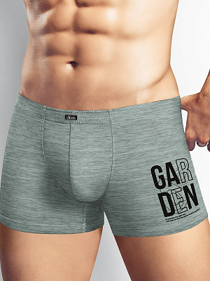 Трусы муж. Clever