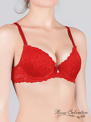 Бюст Rosa Selvatica