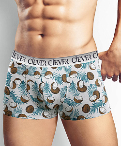 Трусы муж. Clever (L, Св.Серый/Коричневый)