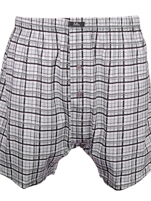 Боксеры Zet Day