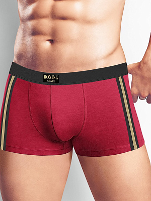 Трусы муж. Clever