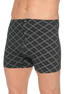 Боксеры Zet Day