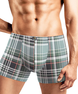 Трусы муж. Clever (3 XL, Св.Серый/Зеленый)