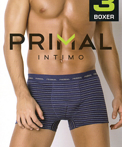 Трусы Primal (L, Ассорти)