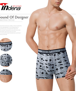 Трусы Indena (L, В расцветках)