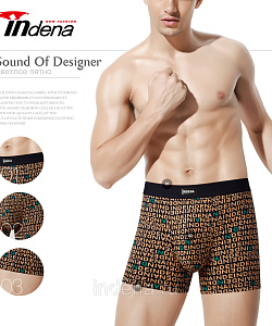 Трусы Indena (L, В расцветках)
