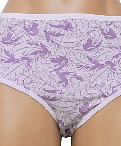 Трусы Desna (XXL, В расцветках)