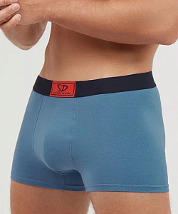 Трусы муж. Salvador Dali (L, Синий)