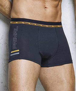 Трусы Primal (M, Синий)