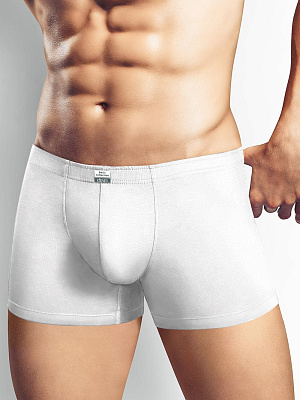 Трусы муж. Clever