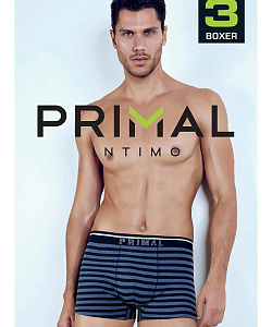 Трусы Primal (L, В расцветках)