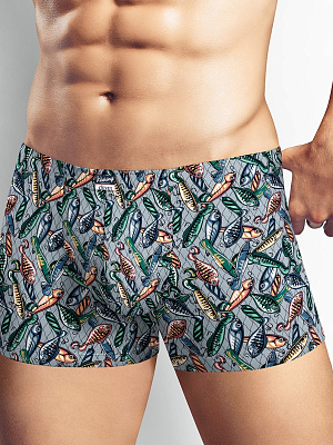 Трусы муж. Clever