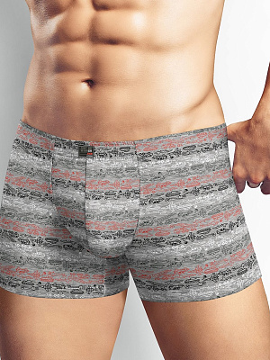 Трусы муж. Clever