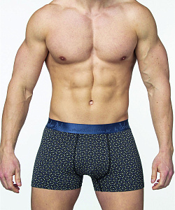 Трусы муж. Salvador Dali (L, Синий)